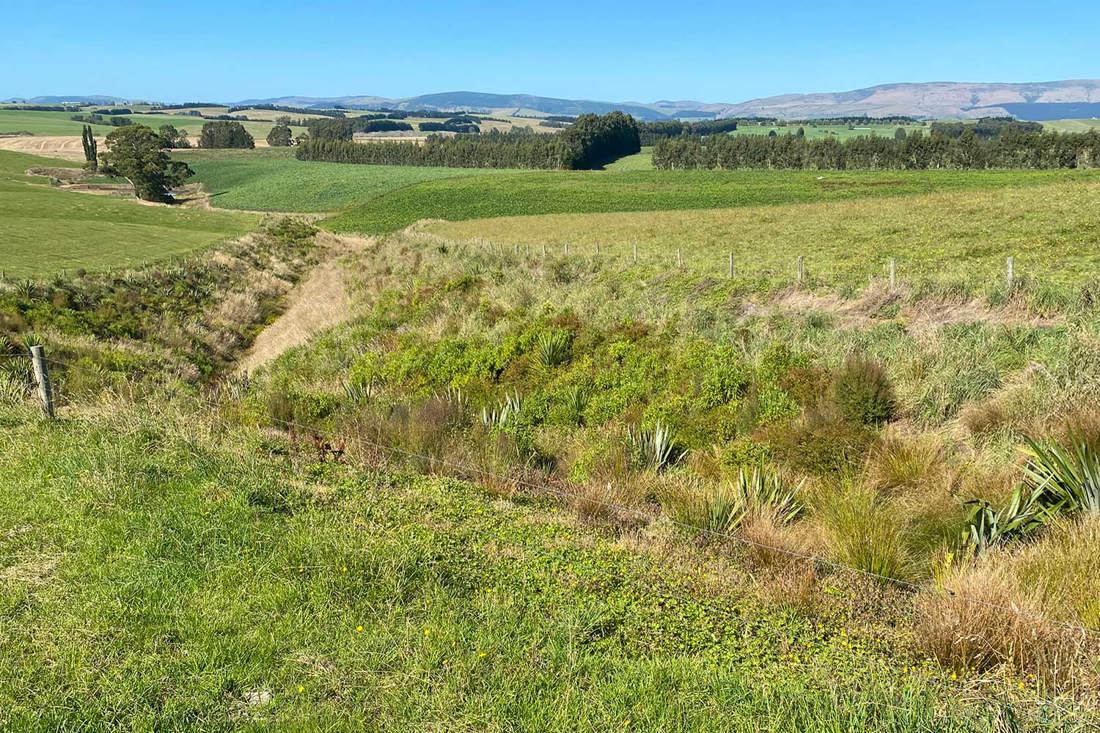 Chris And Sandra Campbell Otago Biodiversity Image4 1500X1000