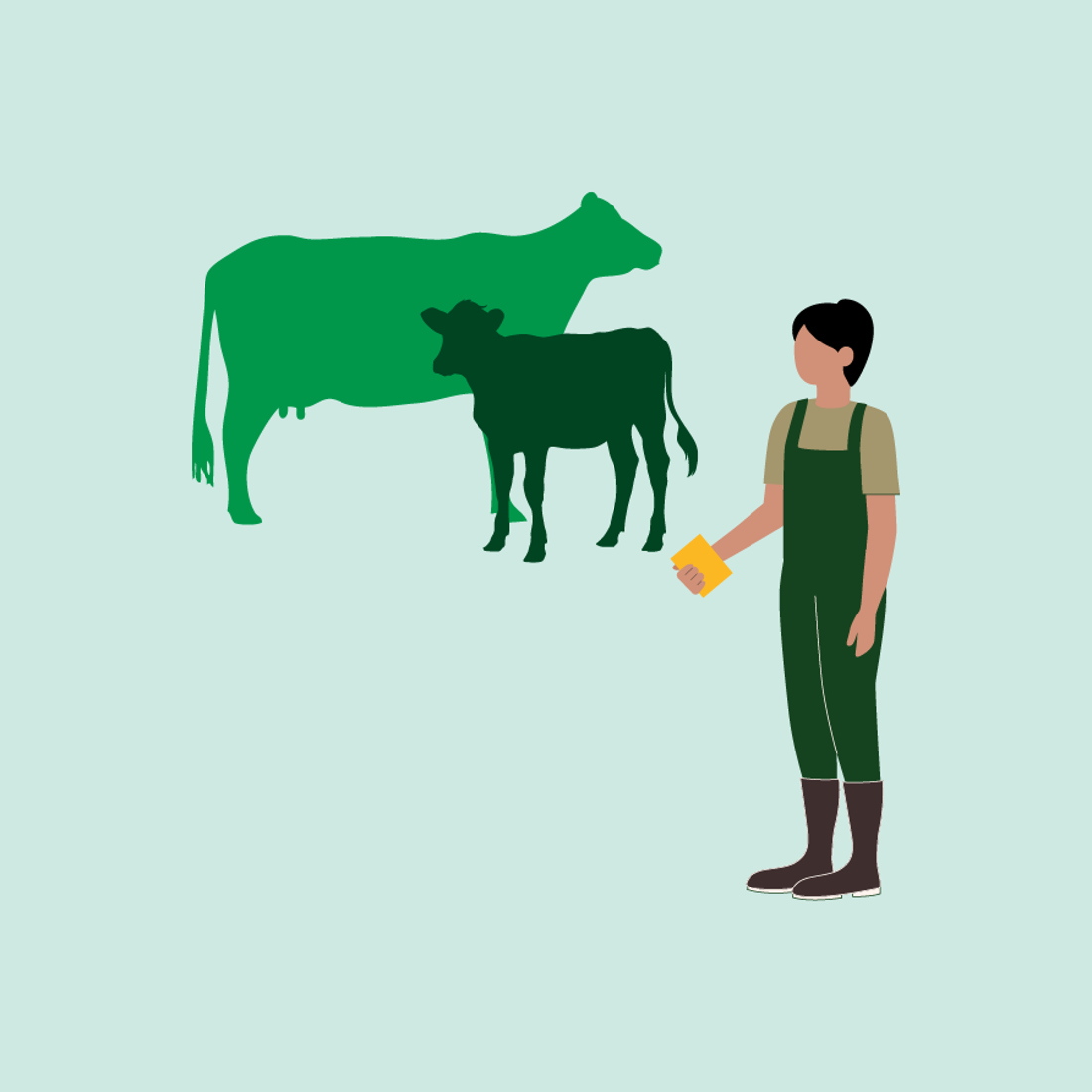 Keep accurate and detailed records by using your yellow notebook when identifying calved cows and calves in the paddock