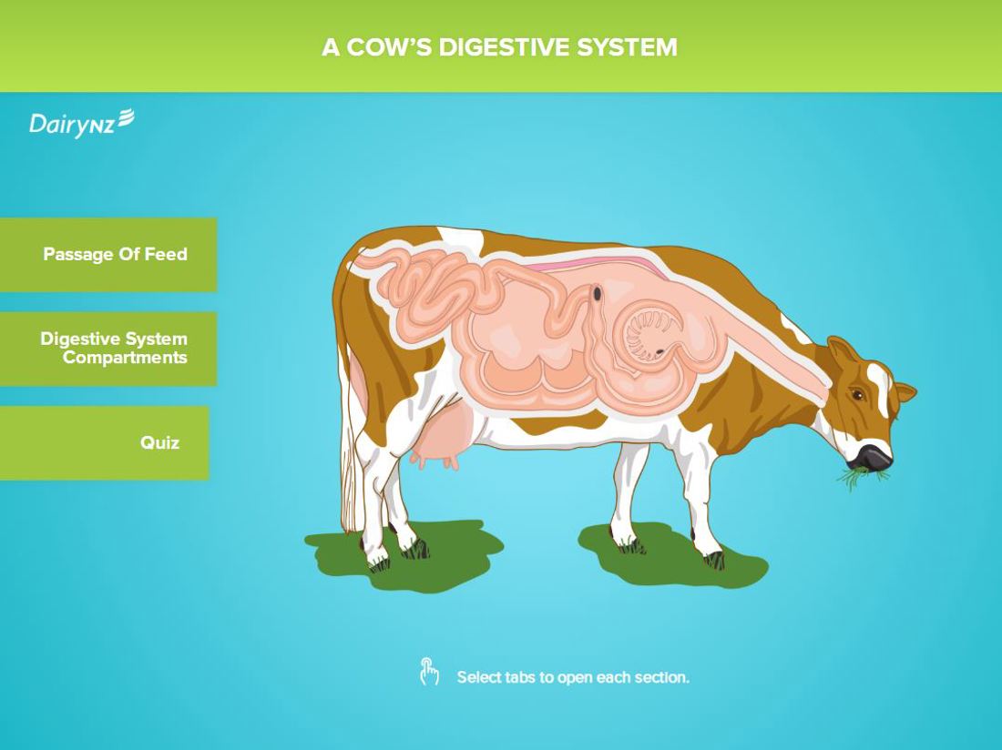 Feedright A Cows Digestive System Placeholder Image
