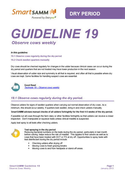 Guideline 19
