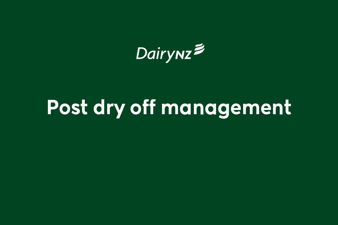 Post Dry Off Management