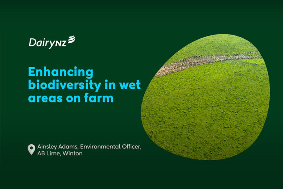 Biodiversity Enhancing Biodiversity In Wet Areas On Farm Video Placeholder Image