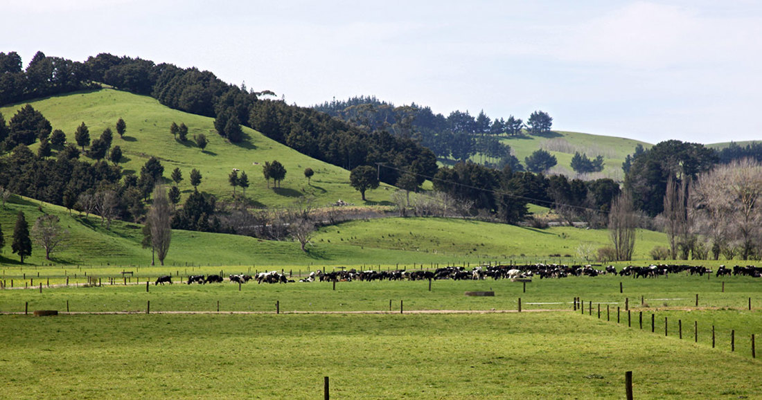 Nz Animal Evaluation Summary Listing OG Image 1200X630