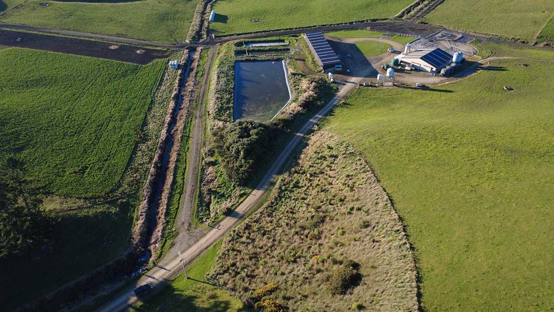 Bodle Native Planting Around Effluent Pond 1200X675