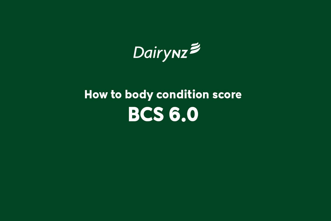 How To BCS 6 Video Placeholder Image