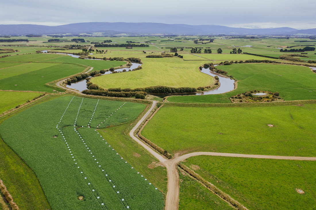 An arial view of paddocks for winter grazing in the South Island of New Zealand.