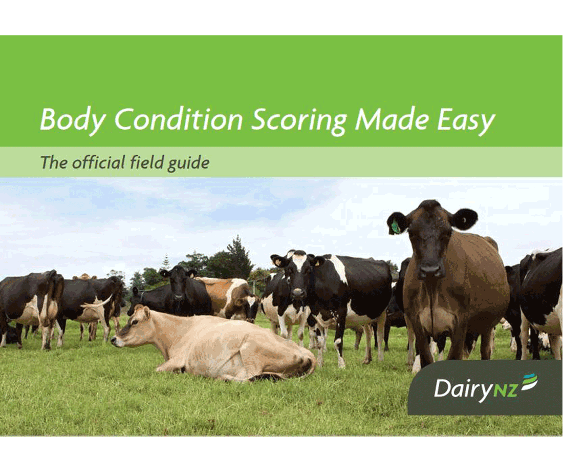 Body Condition Scoring Made Easy Field Guide Image (1)