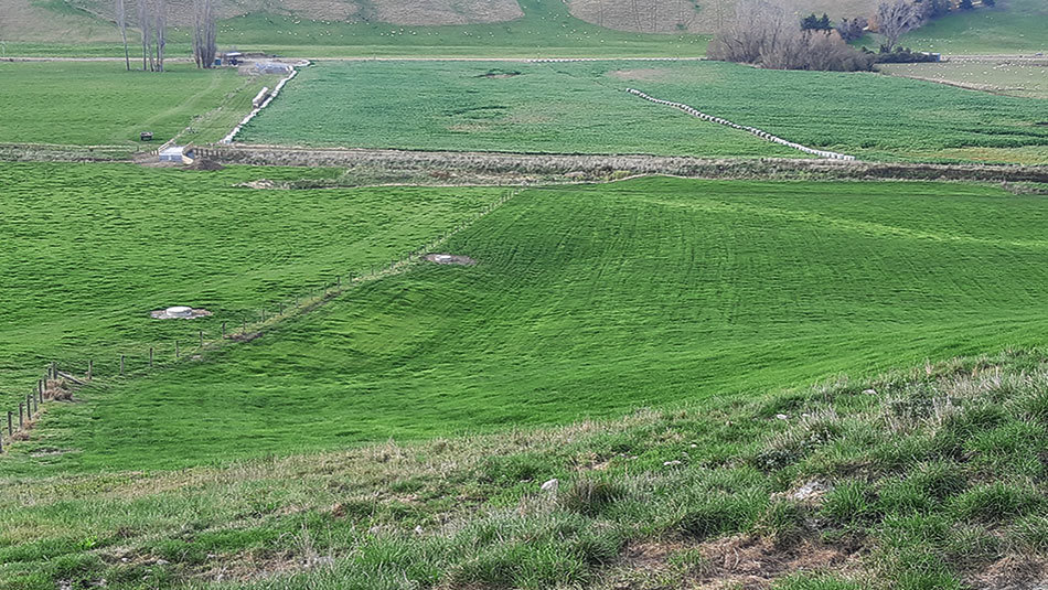 wide farmland