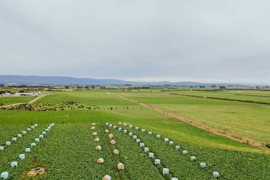 Spring Smarts Winter Crops 1500X1000