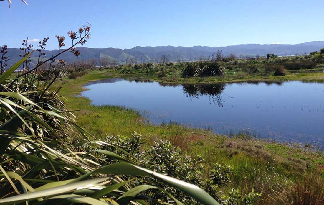 Wetland On Farm 950X600