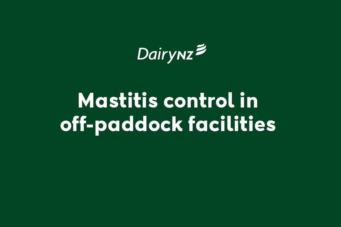 Mastitis Control In Off Paddock Facilities Video Placeholder Image