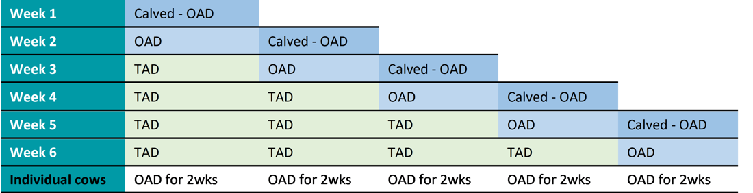 Early Lactation Once A Day OAD Figure 2