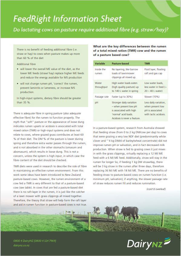 Feedright Information Sheet Lactating Cows On Pasture Additional Fibre Image