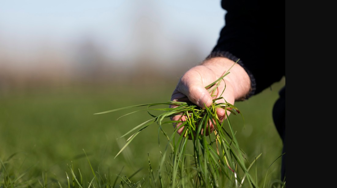 Rural Professionals Hub Fertiliser Advisors Performance Image