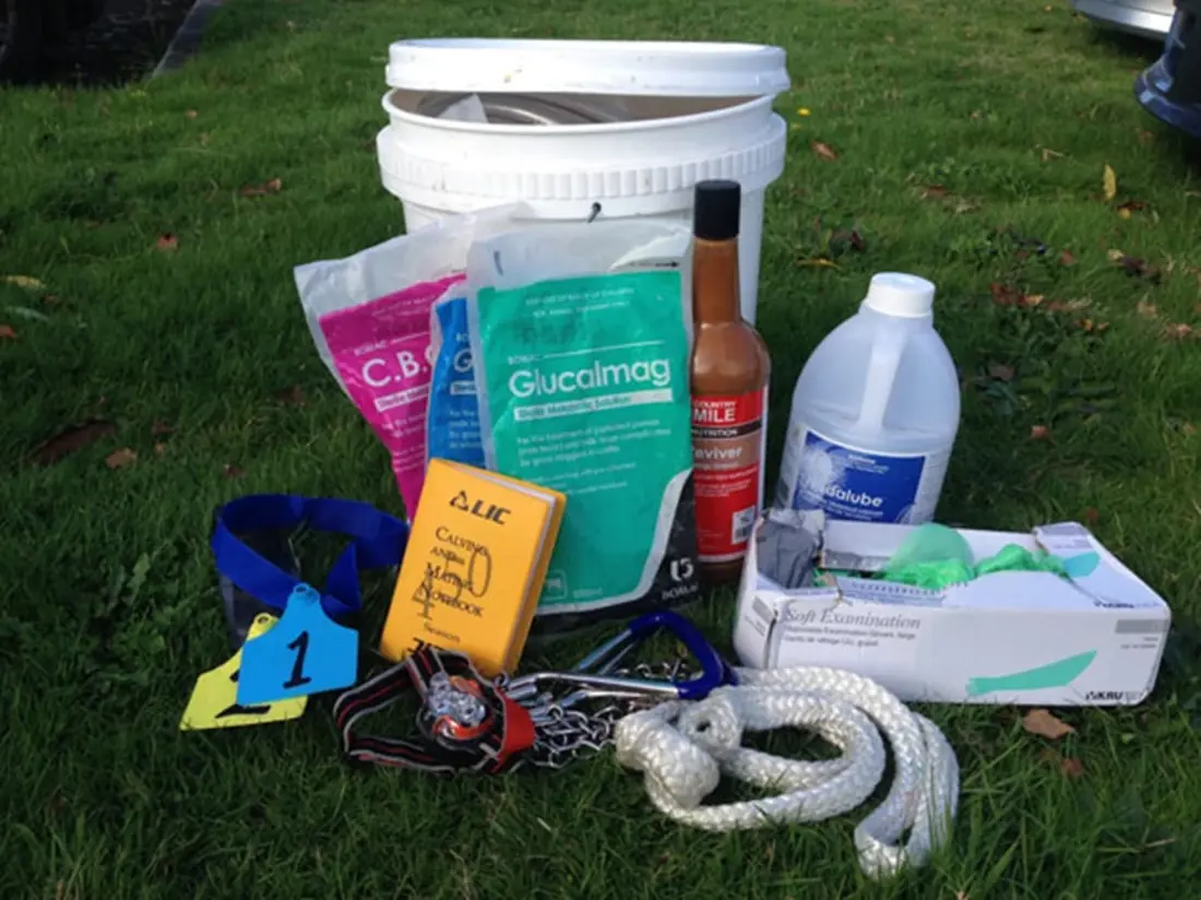 Calving Kit