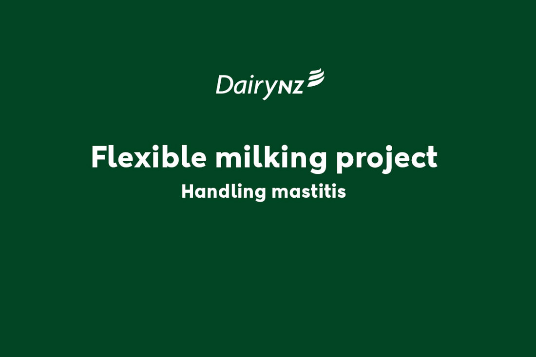 Flexible Milking Project Handling Mastitis Video Placeholder Image