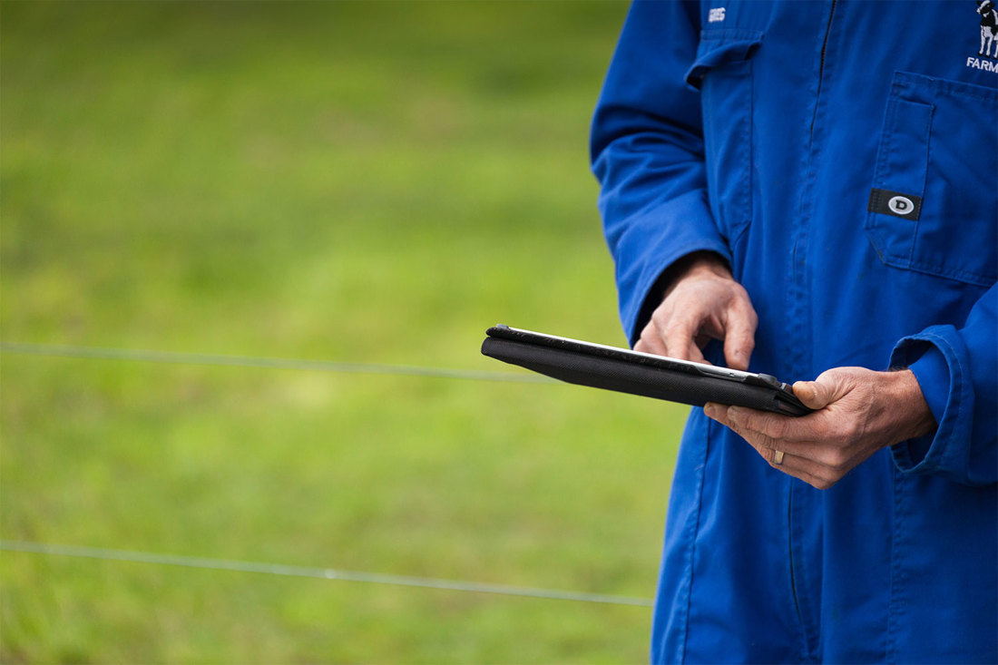A dairy farmer out in the paddock with his iPad, recording body condition scores for his cows