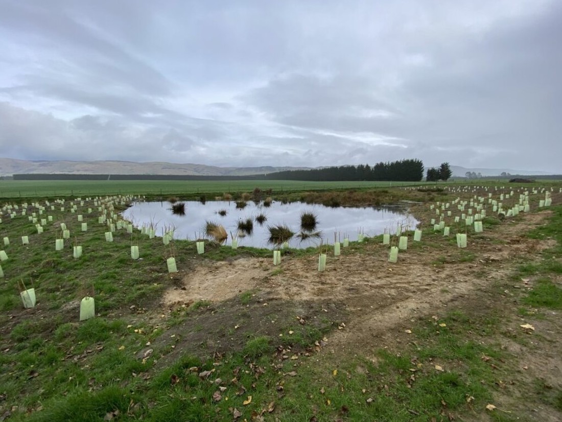 Jobs For Nature The Orr Pond After Planting Image