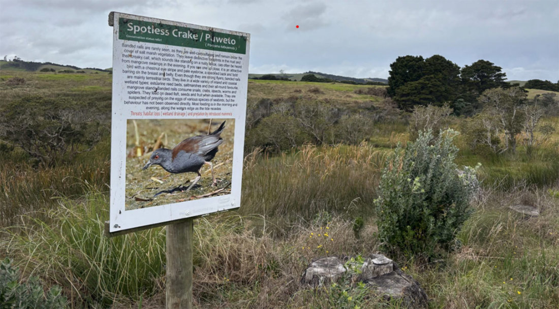 Biodiversity And Community Kaipara Harbour Image3 1300X720