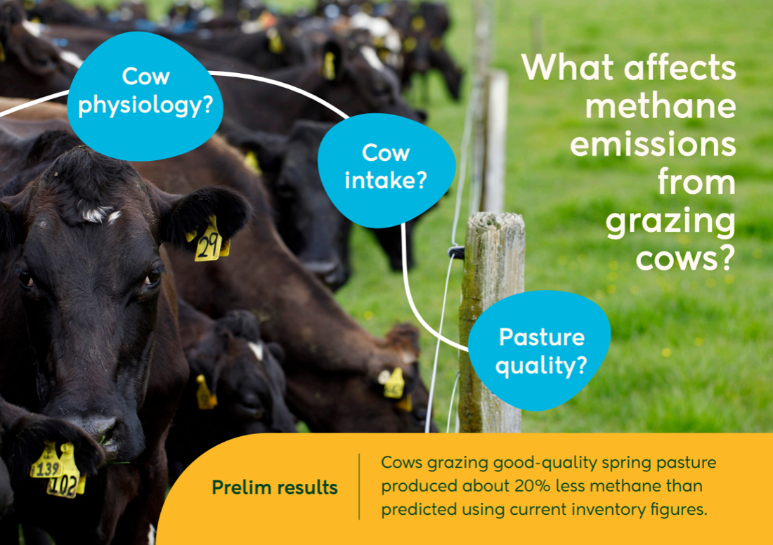 Inside Dairy Methane Emissions Lower Than Expected Infographic.Jpg