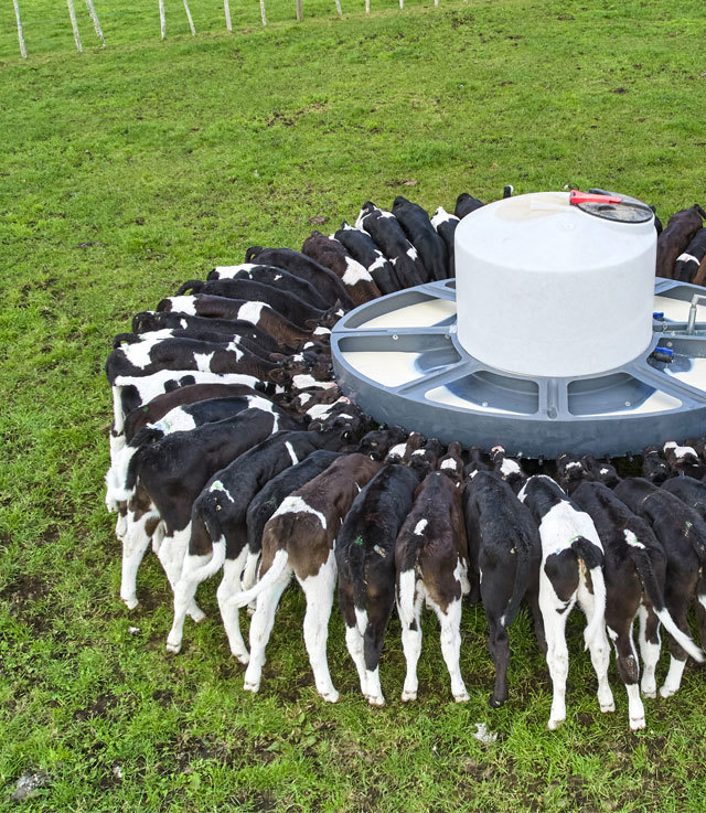 New Calving Resources Promo Image