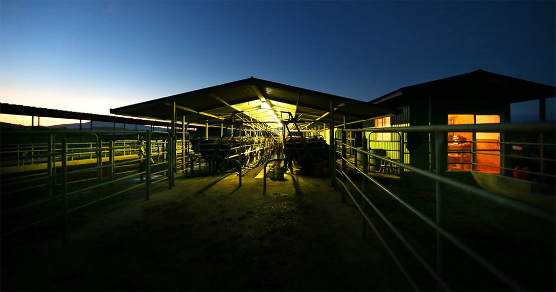 Energy Saving On Farm Dairy At Sunrise Image 1200X630 OG