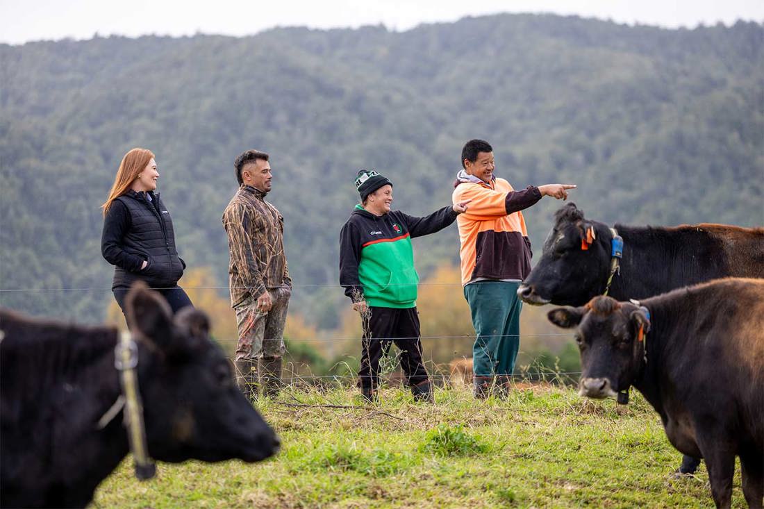 Maori Engagement Team Tataiwhetu Trust Summary Image