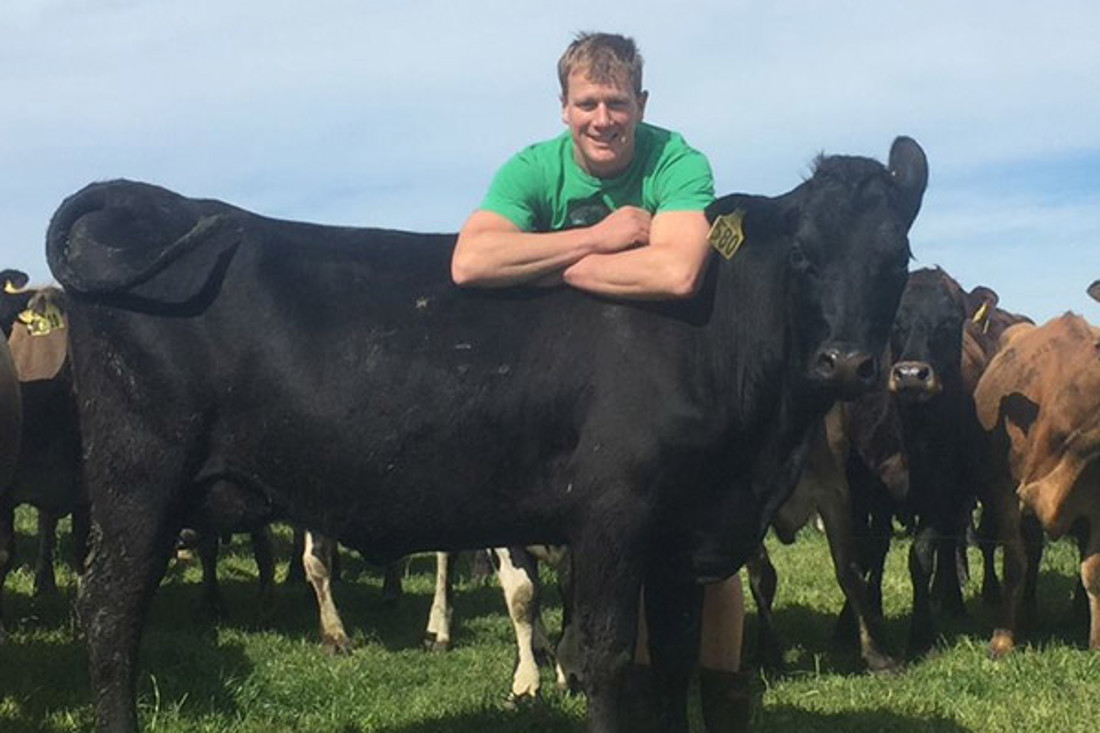 Man leaning on a black cow