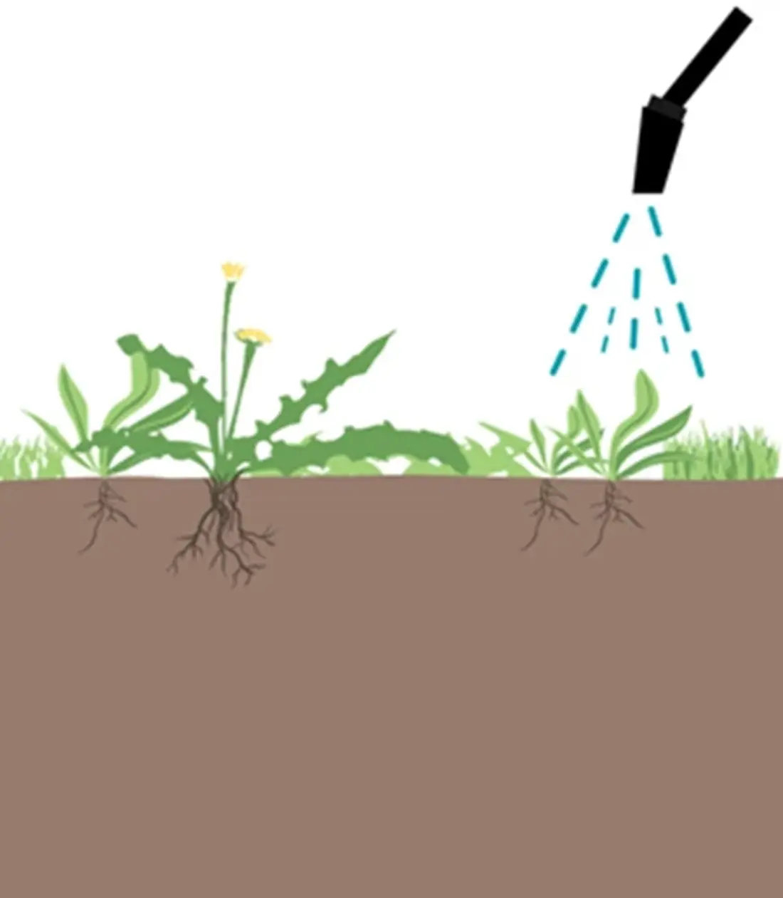 Planting 1