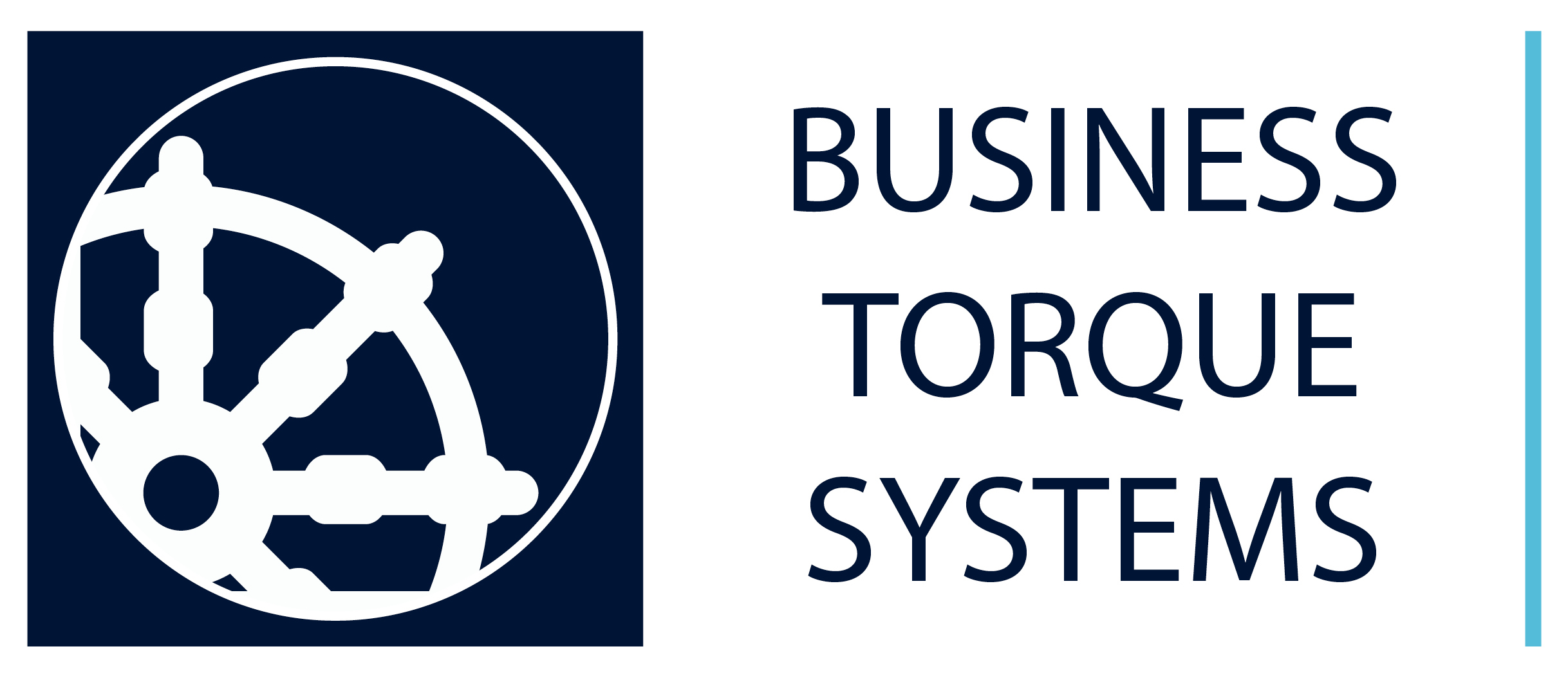 Business Torque Systems company logo