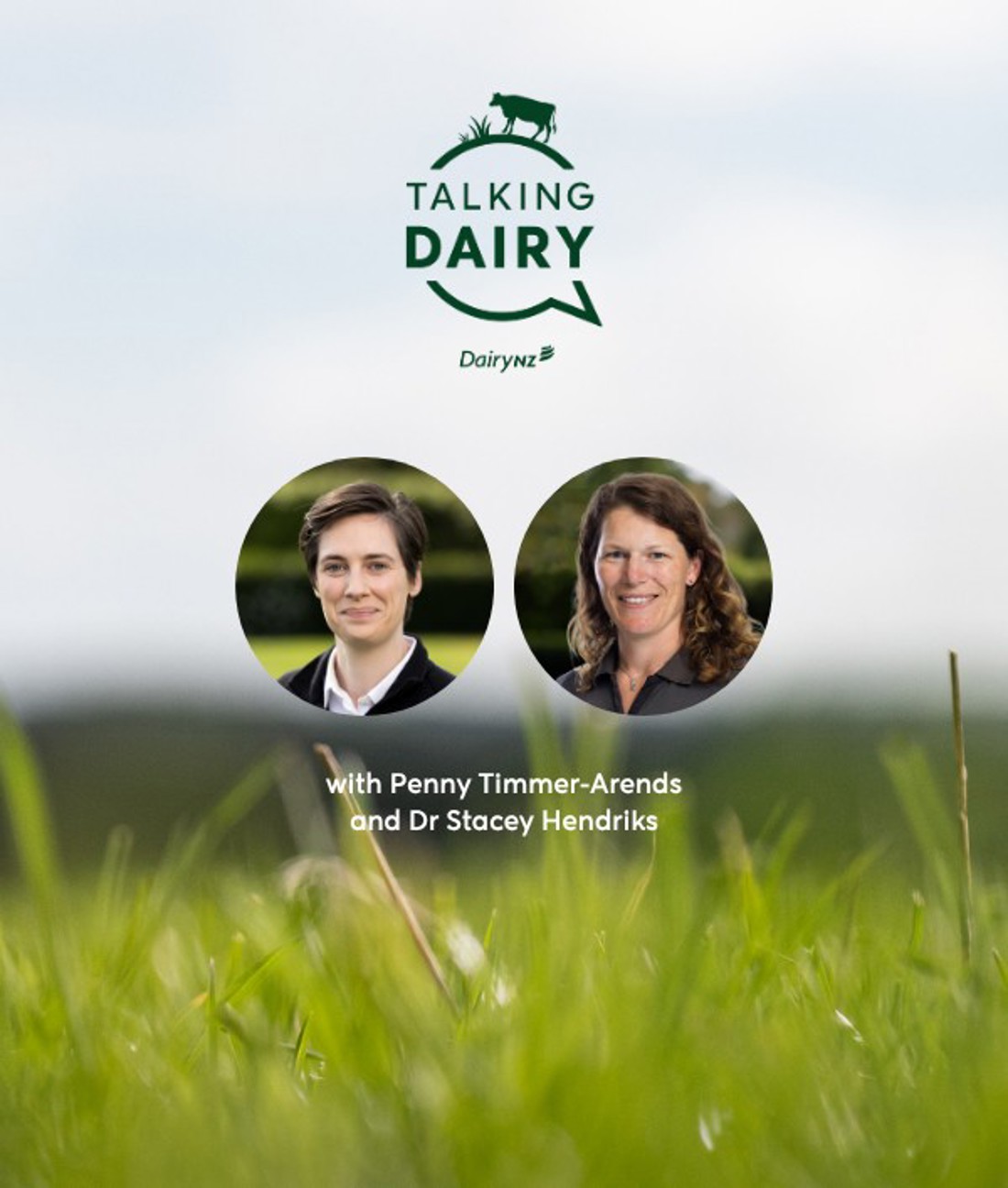 Ep 113 What's New Carousel