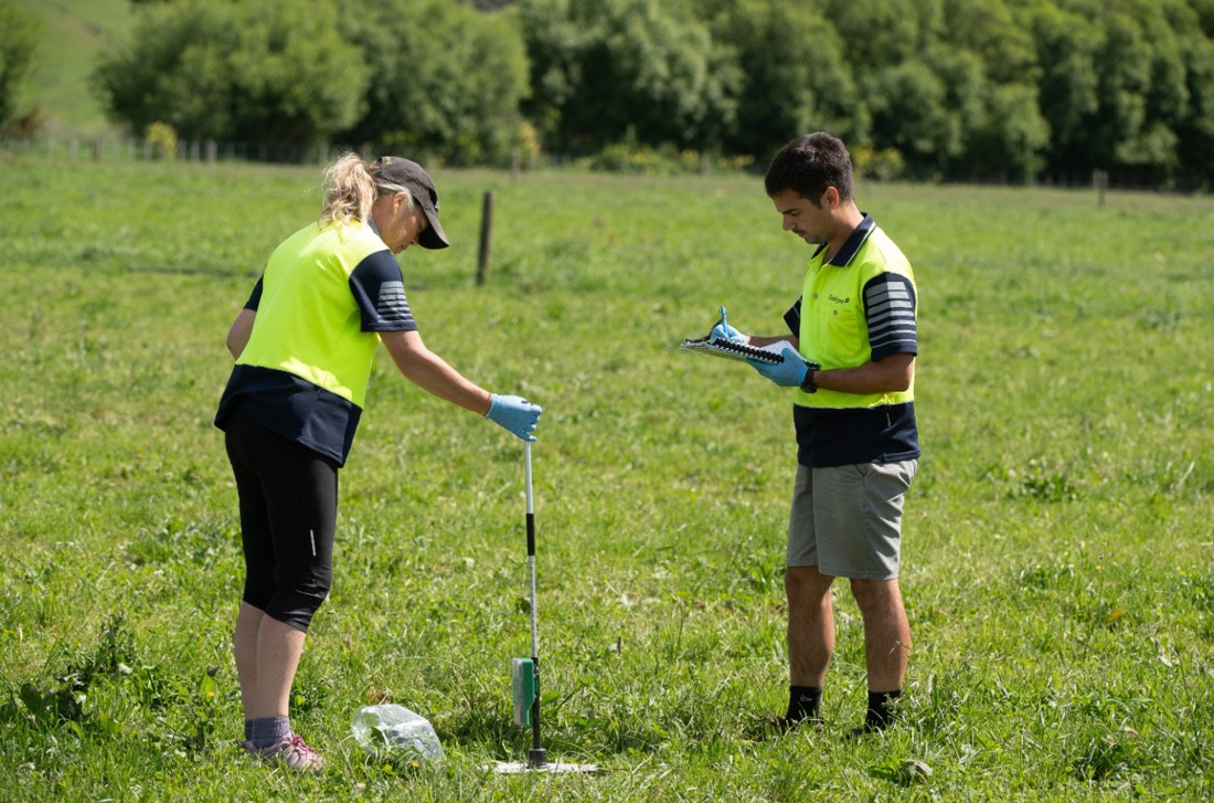 Two DairyNZ researchers in a grass paddock using a rising plate meter and recording results.