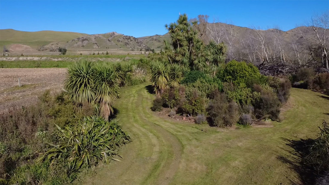 Restoring Land In Hurunui Faulkner Image4 1200X675