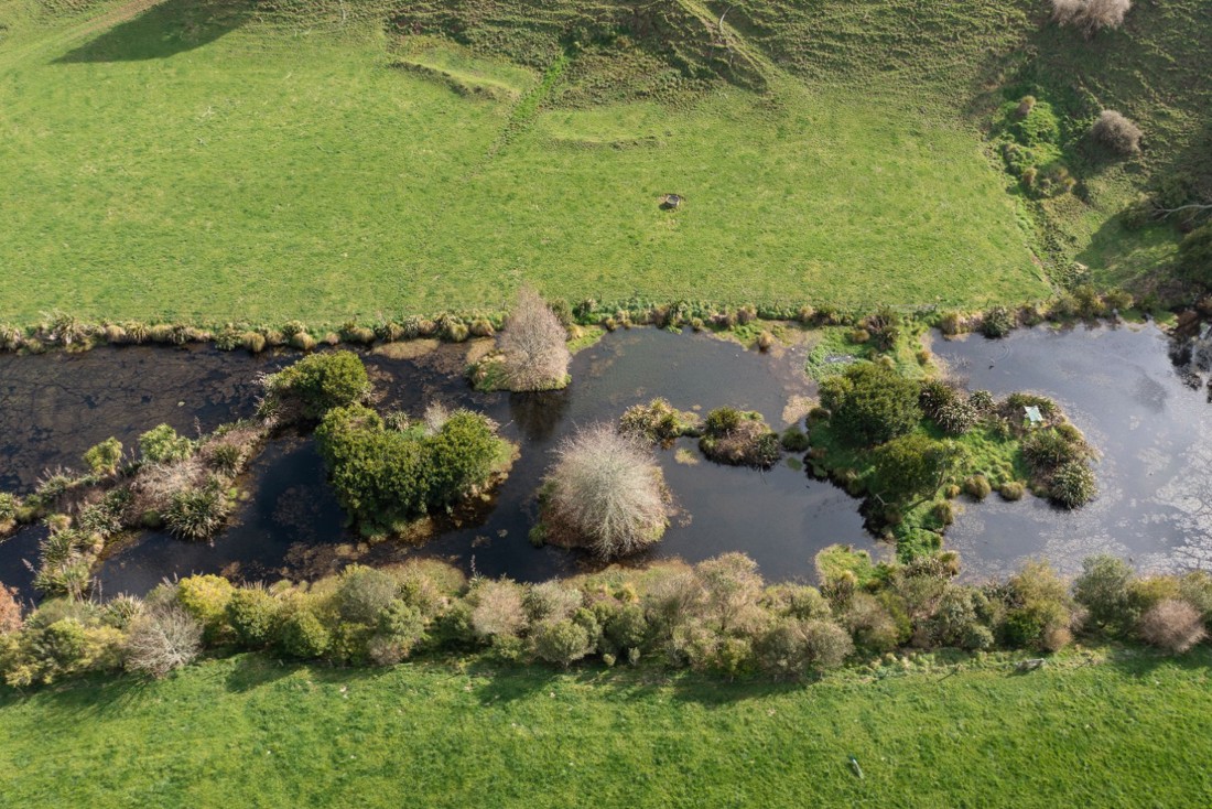 Rural Professionals Hub Environmental Advisor Water Quality Image