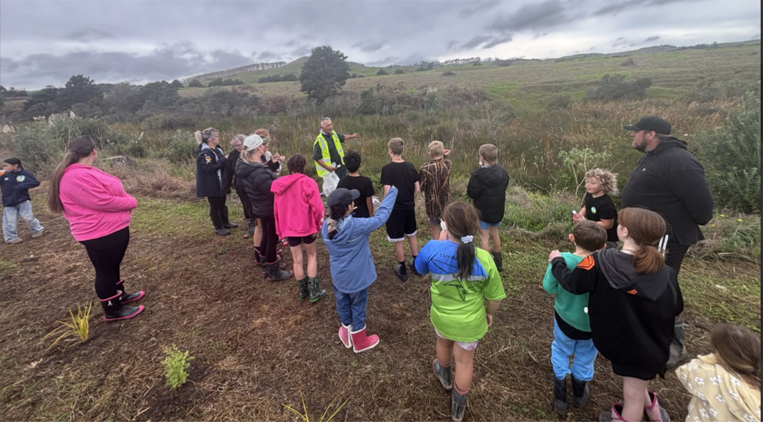 Biodiversity And Community Kaipara Harbour Image4 1300X720