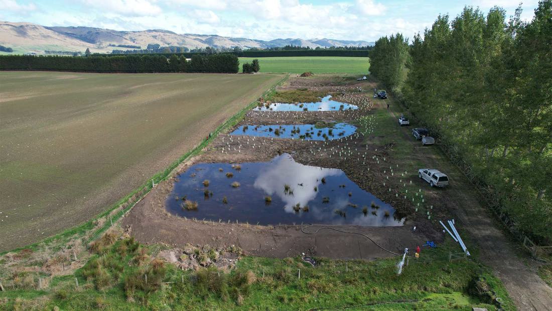 Orr Terraced Ponds After Planting In 2025 2000X1125