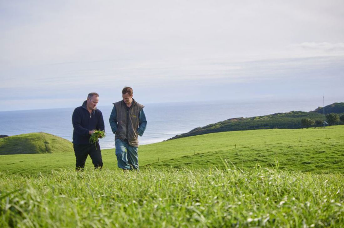 Rural Professionals Hub Agronomist Pasture Performance Image