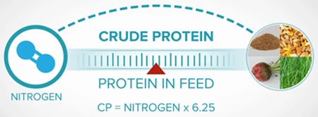 Crude Protein