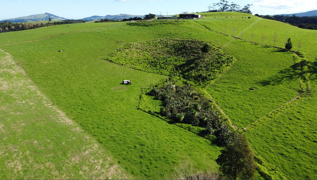 Restoring Wetlands In Northland Collins Image2 1300X740