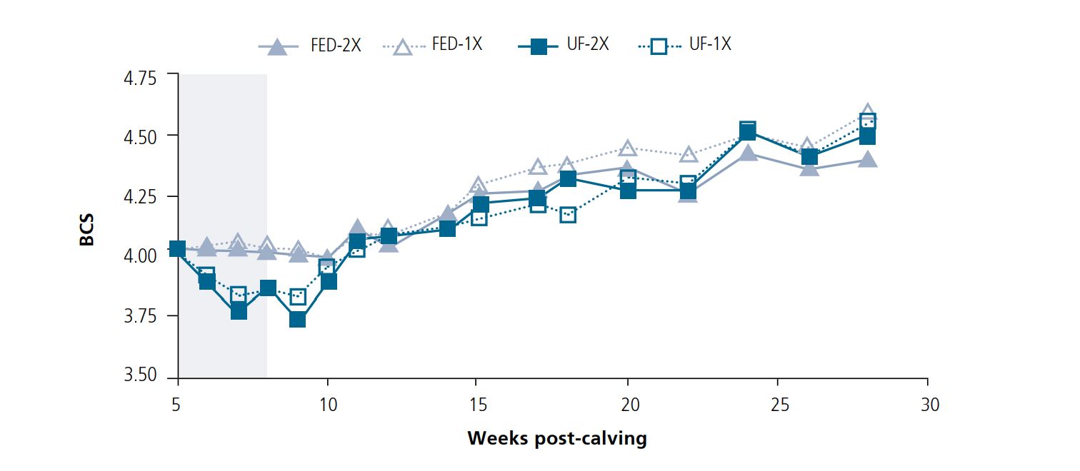 Acute Feed Deficiency Study Figure 3