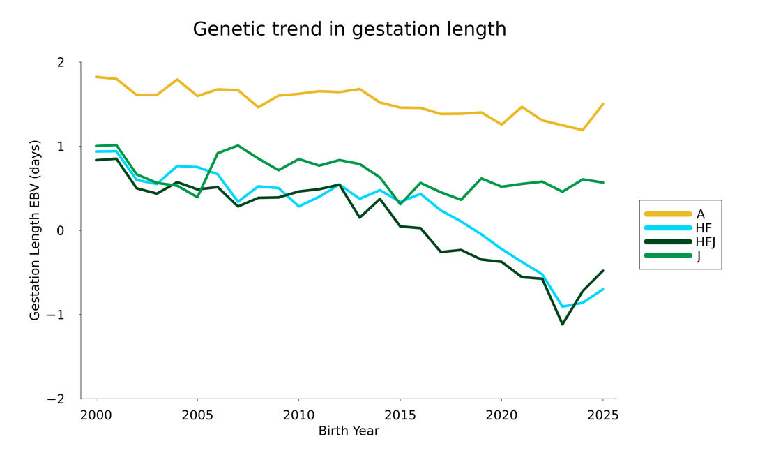 Gestlength 25Trend (1)