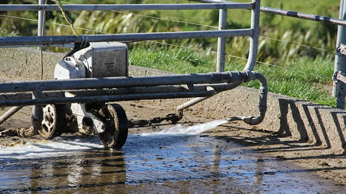 Flood Wash POD