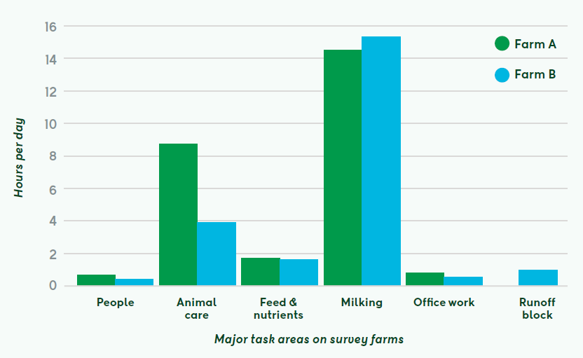 Total hours per fay to run two 500-cow farms?