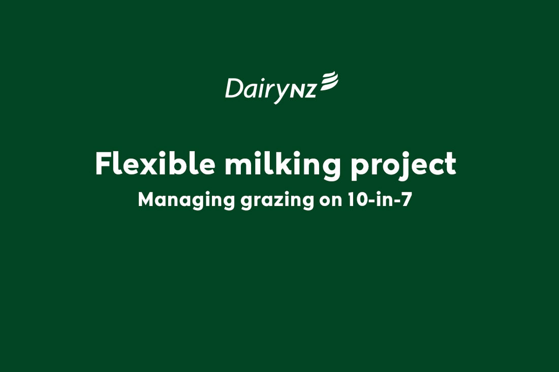 Flexible Milking Project Managing Grazing On 10 In 7 Video Placeholder Image