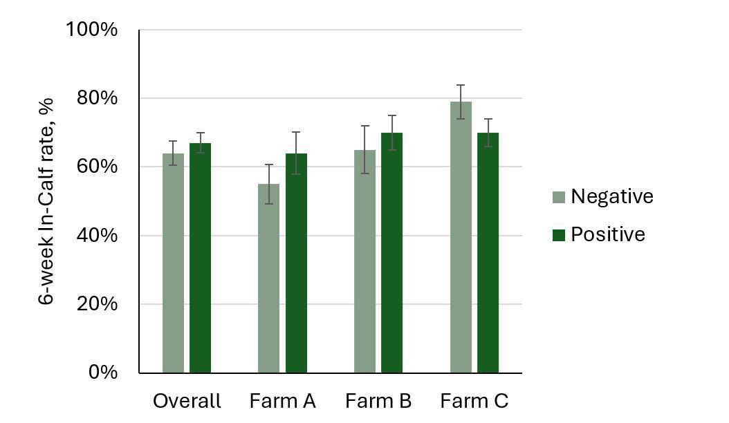 Blood Bhb And Cow Performance Graph Figure 3