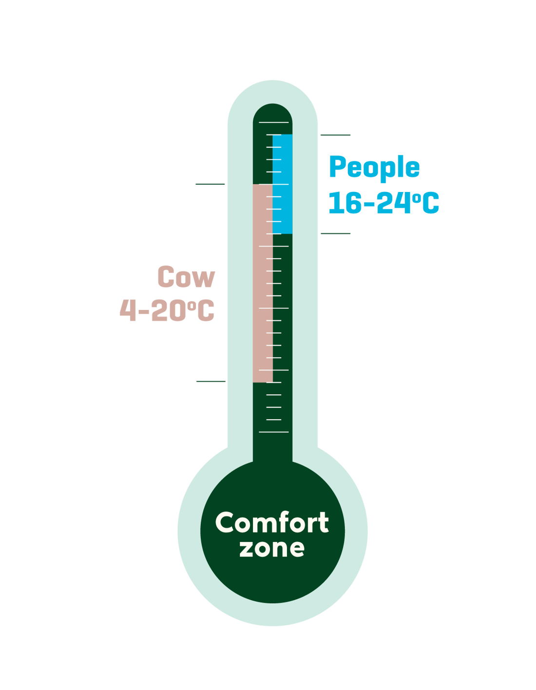 Comfort Zone Thermometer (1)