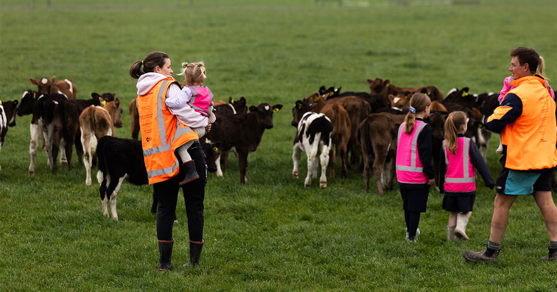 Inside Dairy What Makes A Contract Milking Agreement Work Listing Summary OG Image