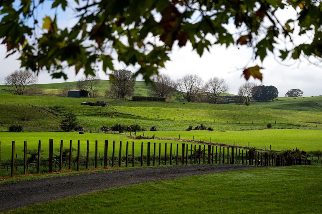 Farmland with hills and a track alongside fenced paddocks