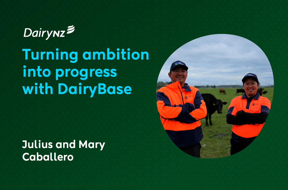 Willow Bank Video Cover Image