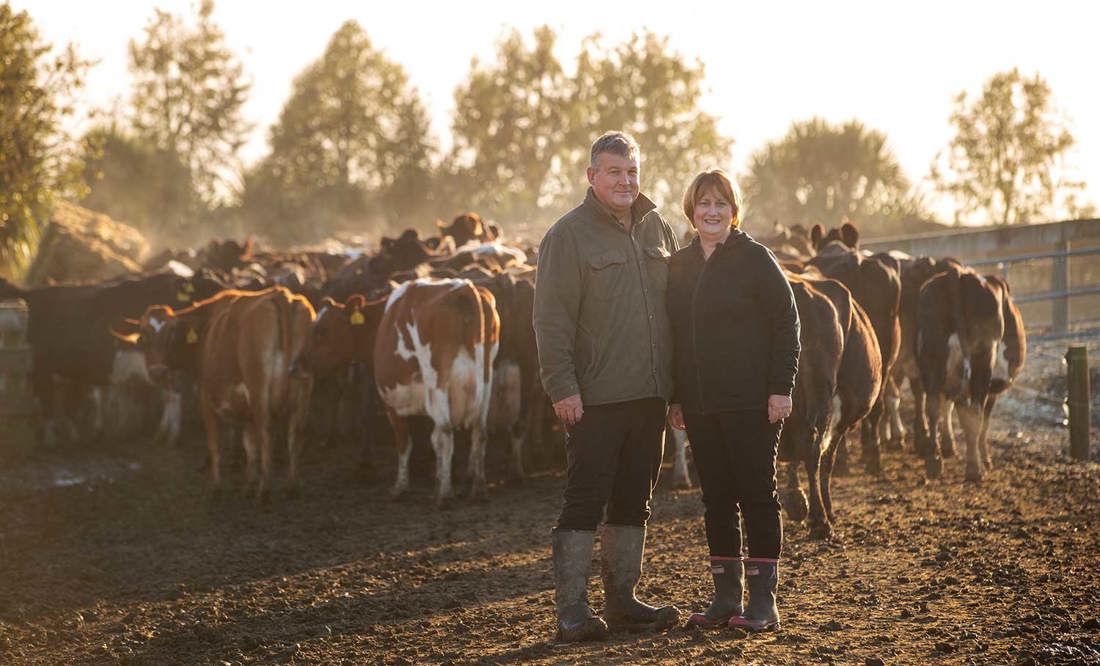 Inside Dairy Nov 2025 Jan 2026 Profitable And Sustainable Makes For A Winning Approach Stuart Tracey Neill